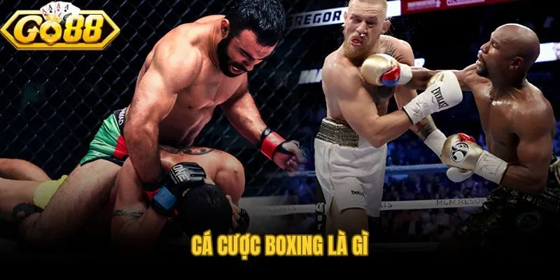 Cá cược boxing hé lộ cơ chế đặt kèo theo odds từ thế kỷ 18