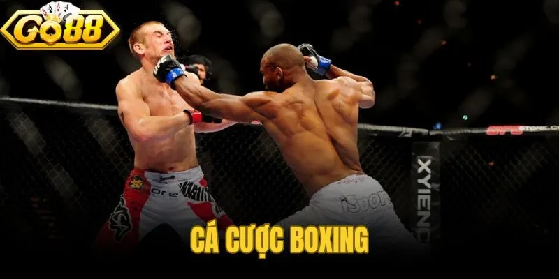 Cá Cược Boxing