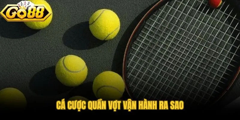 Cấu trúc Game-Set-Match chi phối mọi dạng odds tennis
