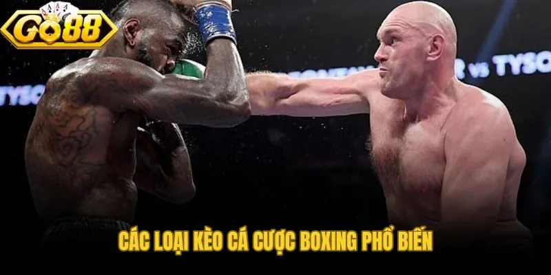 Từ Moneyline đến Group Round hệ thống kèo cá cược boxing toàn diện