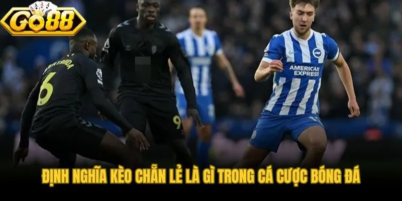 Kèo chẵn lẻ từ quy tắc tính bàn đến cách đọc odds E/O