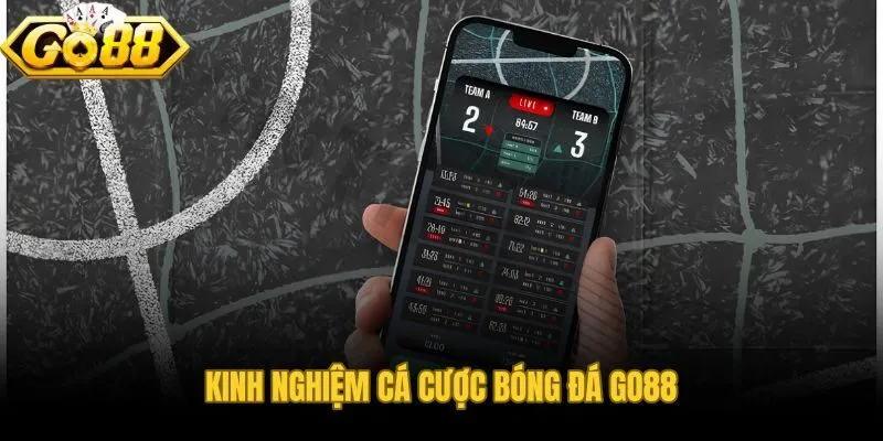 Chiến lược và phân tích odds tạo ra khác biệt lâu dài